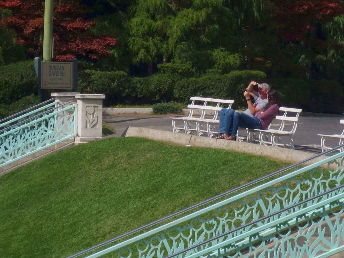 park by Susan Fluegel